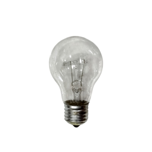 25 WATT / SUPERMAX PS-55 Lampu Bohlam Pijar Penghangat Ternak Ayam Kuning