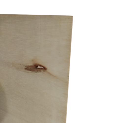 3 MM x 120 CM x 240 CM / TM Triplek Multiplek Papan Pintu Biasa Lembar