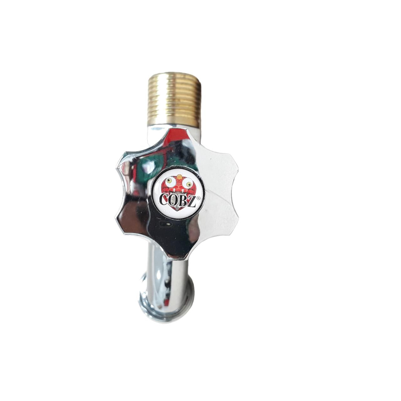 1/2 IN / COBZ CBABC02 Kran Air Tembok Taman Kamar Mandi Stainless