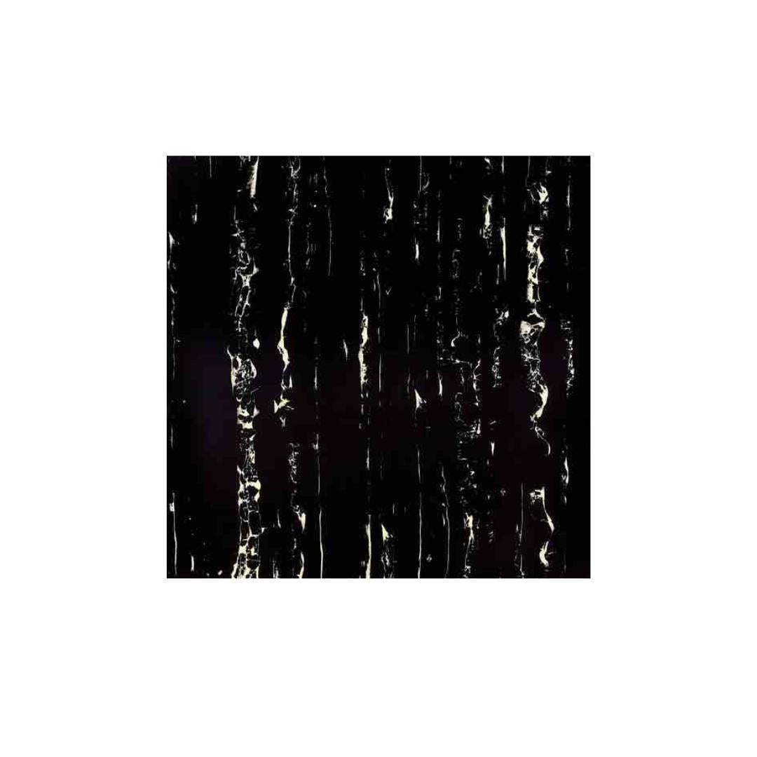 60 CM x 60 CM / SERENITY ZEBRANO Granit Lantai Rumah Glossy Dus