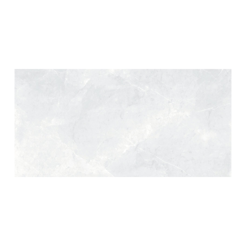 30 CM x 60 CM / PLATINUM DEXA Keramik Dinding Kamar Mandi Glossy Grey Basic Dus