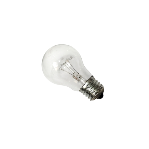 15 WATT / SUPERMAX PS-55 Lampu Bohlam Pijar Penghangat Ternak Ayam Kuning