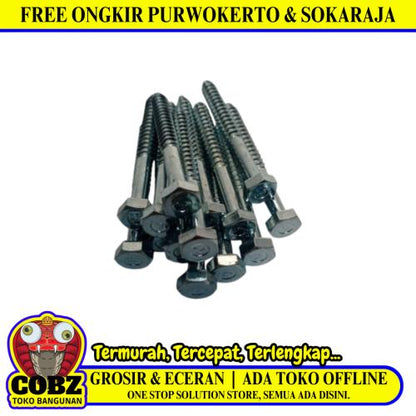 5/16 IN x 3 IN / TM Deskrup Hex Lag Desc Screw Galvanis Putih Biji