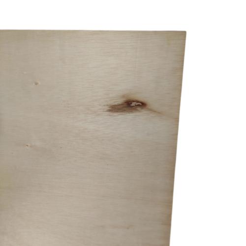 3 MM x 120 CM x 240 CM / TM Triplek Multiplek Papan Pintu Biasa Lembar