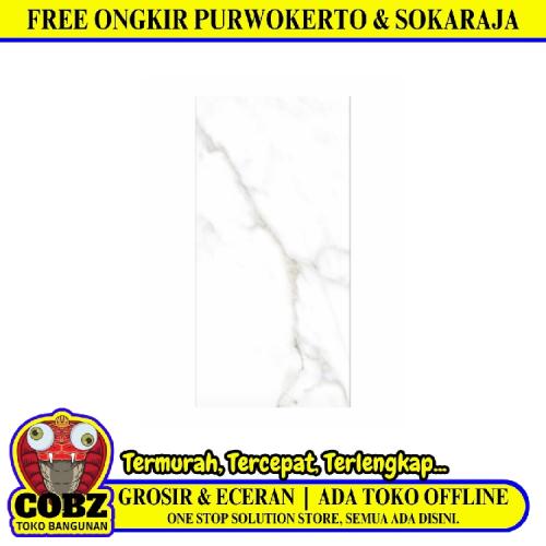 25 CM x 50 CM / UNO Catalina Keramik Dinding Datar Glossy White Dus