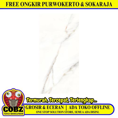 25 CM x 50 CM / PLATINUM CLIFFORD Keramik Dinding Glossy Grey Dus