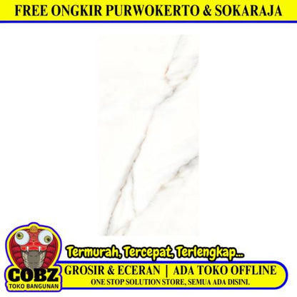 25 CM x 50 CM / PLATINUM CLIFFORD Keramik Dinding Glossy Grey Dus