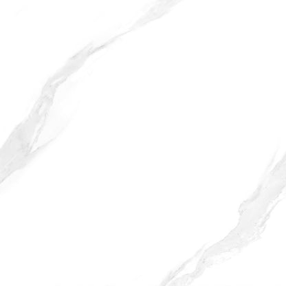 40 CM x 40 CM / ARWANA 6616 Keramik Lantai Rumah Glossy White Dus