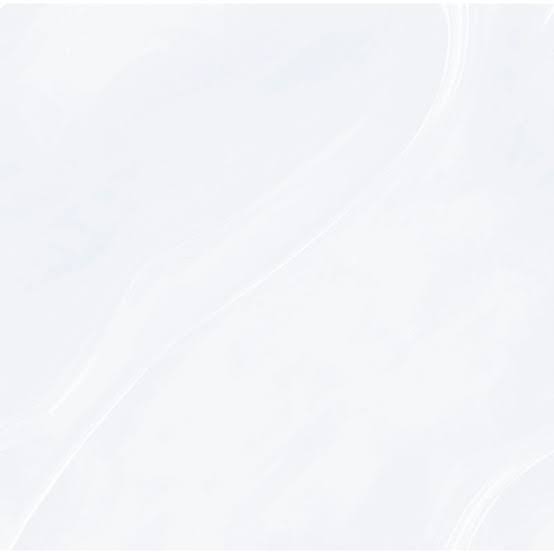 50 CM x 50 CM / UNO ELYSIAN Keramik Lantai Rumah Glossy Grey Dus