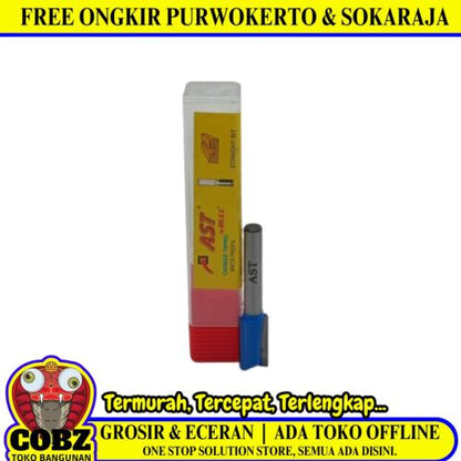 1/4 IN x 10 MM / AST BULL Mata Bor Profil Router Lurus Straight Bit