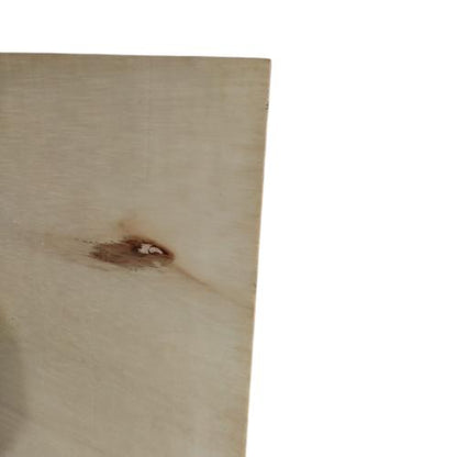 3 MM x 120 CM x 240 CM / TM Triplek Multiplek Papan Pintu Biasa Lembar