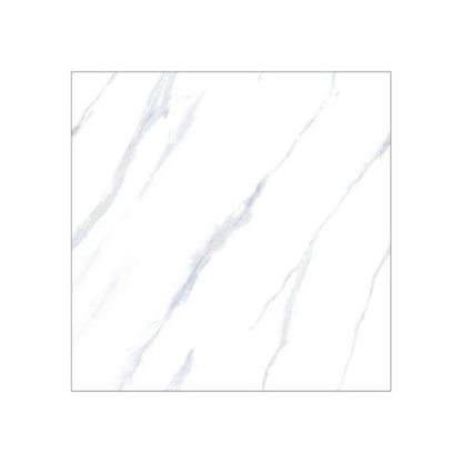 60 CM x 60 CM / REXTON JIMMY WHITE Granit Lantai Rumah Glossy Dus