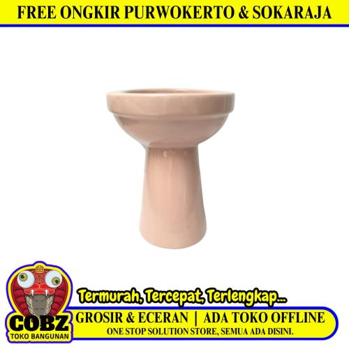49 CM x 40 CM x 40 CM / DUTY Kloset Duduk Non Tangki Pink Keramik