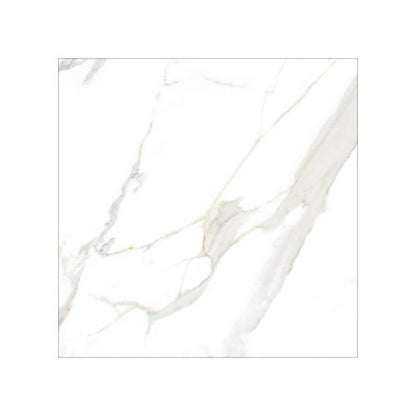 60 CM x 60 CM / PLATINUM SHELDON Keramik Lantai Rumah Glossy Grey Dus