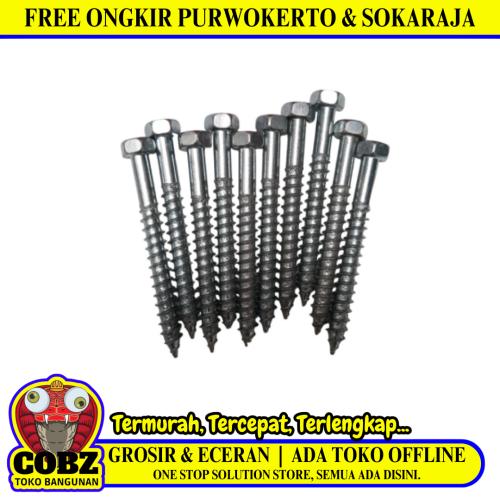 3/16 IN x 2 IN / TM Deskrup Hex Lag Desc Screw Galvanis Putih Biji