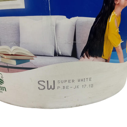 25 KG / AVITEX Cat Tembok Beton Plafon Wall Paint