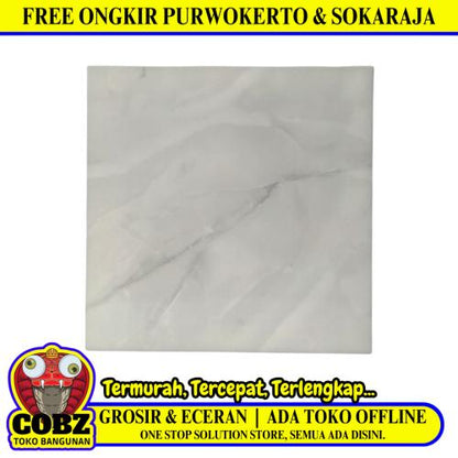 40 CM x 40 CM / ARWANA 9919 Keramik Lantai Rumah Glossy Grey Dus