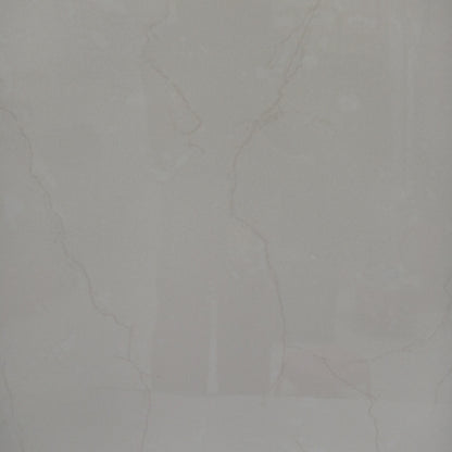 60 CM x 60 CM / JETRI JT 6822 Granit Lantai Rumah Glossy Dus