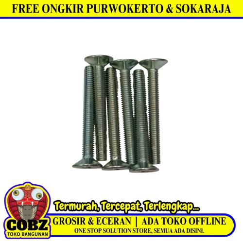 M 3 x 25 MM / TM Baut JF Kepala Rata Plus Putih Biji