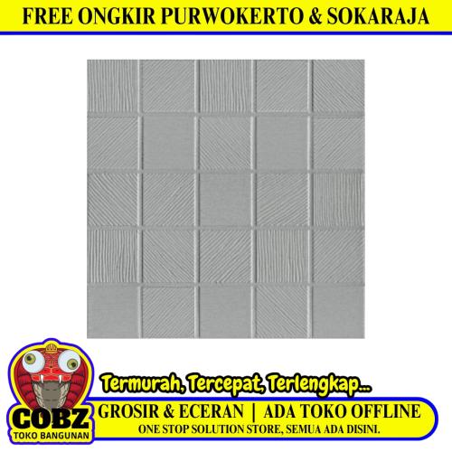 25 CM x 25 CM / ASIA ALPHA Keramik Lantai Kamar Mandi Matte Grey Dus
