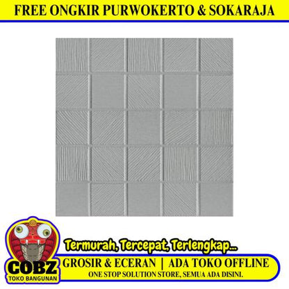 25 CM x 25 CM / ASIA ALPHA Keramik Lantai Kamar Mandi Matte Grey Dus