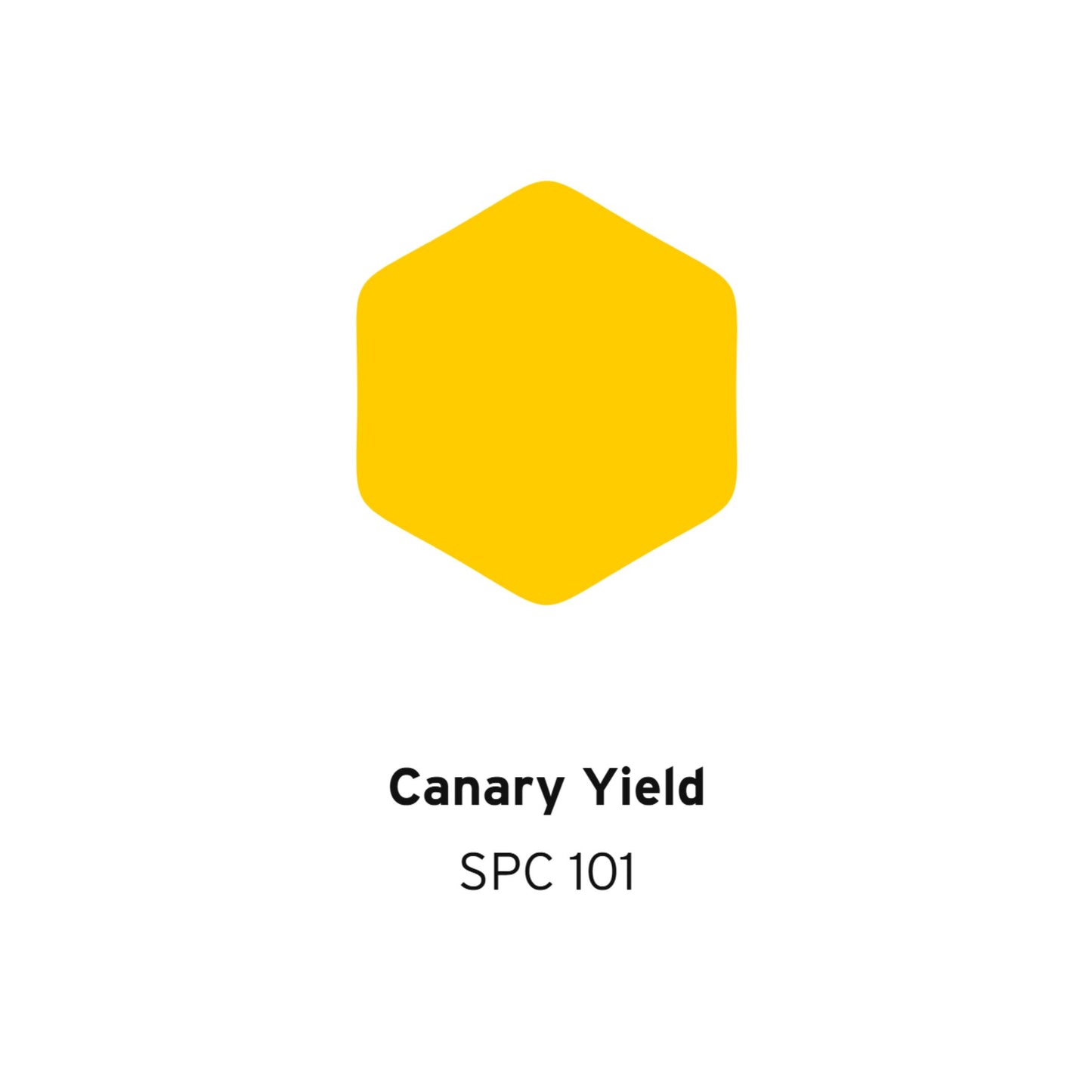 4 KG / VINOTEX SPECIAL Cat Tembok Beton Plafon Wall Paint Galon