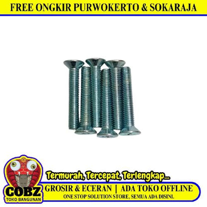 M 5 x 30 MM / TM Baut JF Kepala Rata Plus Putih Biji