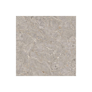 50 CM x 50 CM / PLATINUM LINCOLN Keramik Lantai Rumah Glossy Grey Dus