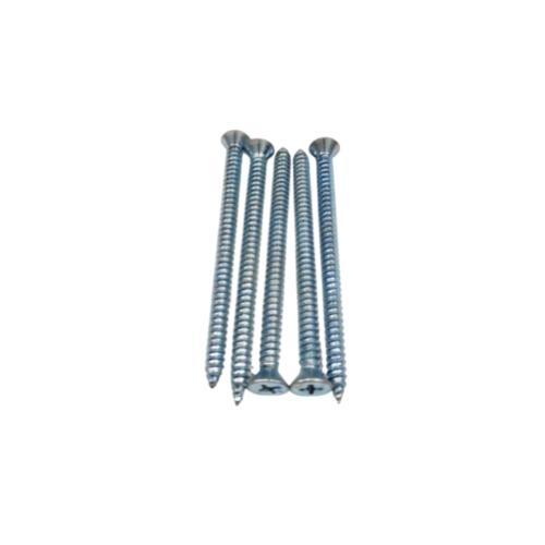 #8 X 2 1/2 IN / TM Sekrup FH Kepala Rata Plus Putih Biji