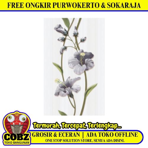 25 CM x 40 CM / UNO VALENTINO Keramik Dinding Kamar Mandi Glossy Grey Dus