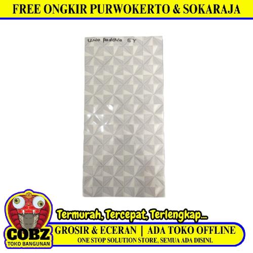 25 CM x 50 CM / UNO PADOVA Keramik Dinding Kamar Mandi Glossy Grey Dus