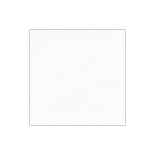 50 CM x 50 CM / PLATINUM SYDNEY Keramik Lantai Rumah Glossy White Dus