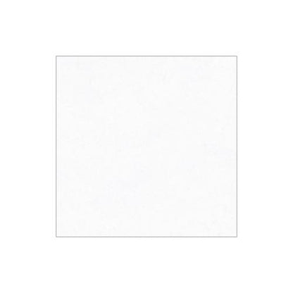 50 CM x 50 CM / PLATINUM SYDNEY Keramik Lantai Rumah Glossy White Dus
