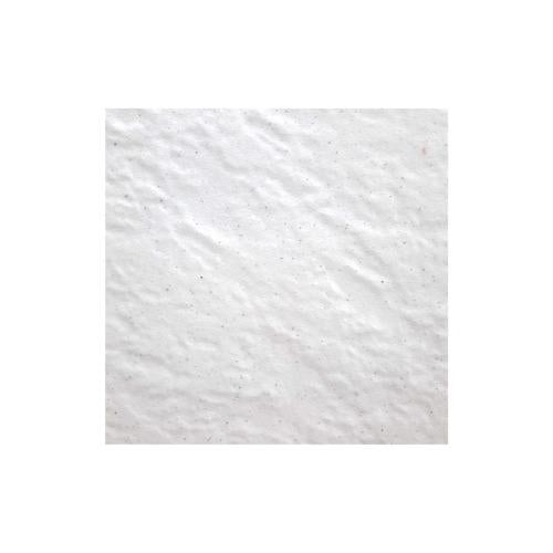 30 CM x 30 CM / IMPRESSO ROCKY Keramik Lantai Teras Garasi Matte Bianco
