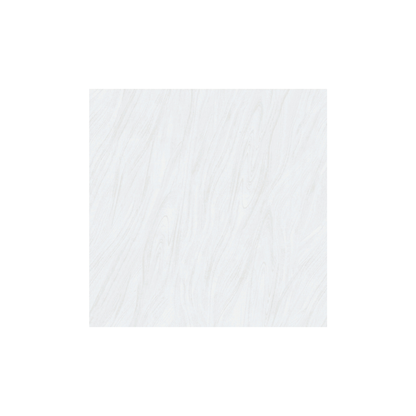 30 CM x 30 CM / ASIA TILE NIPPO Keramik Lantai Rumah Glossy Grey Dus