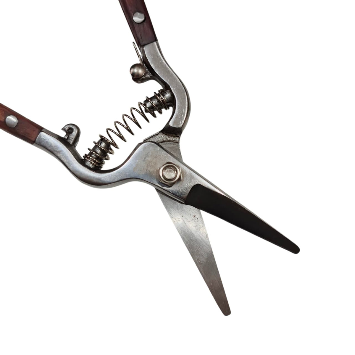 8.5 IN / CARL SCHLIEPER FLORA 002 Gunting Dahan Lurus Ranting Tanaman Pruning Shears