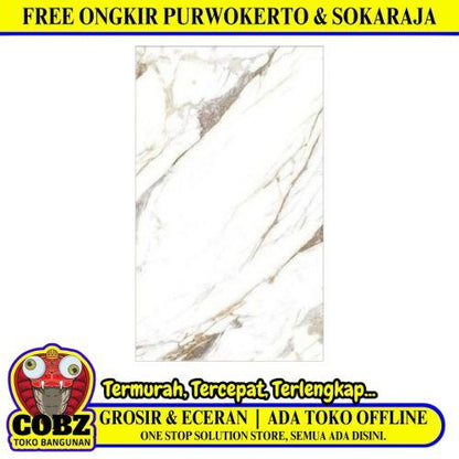 25 CM x 40 CM / ASIA TILE EVEREST Keramik Dinding Kamar Mandi Glossy Gold Dus