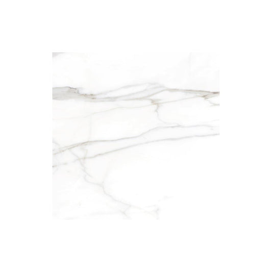 60 CM x 60 CM / PLATINUM SAVOY Keramik Lantai Rumah Glossy Grey Dus