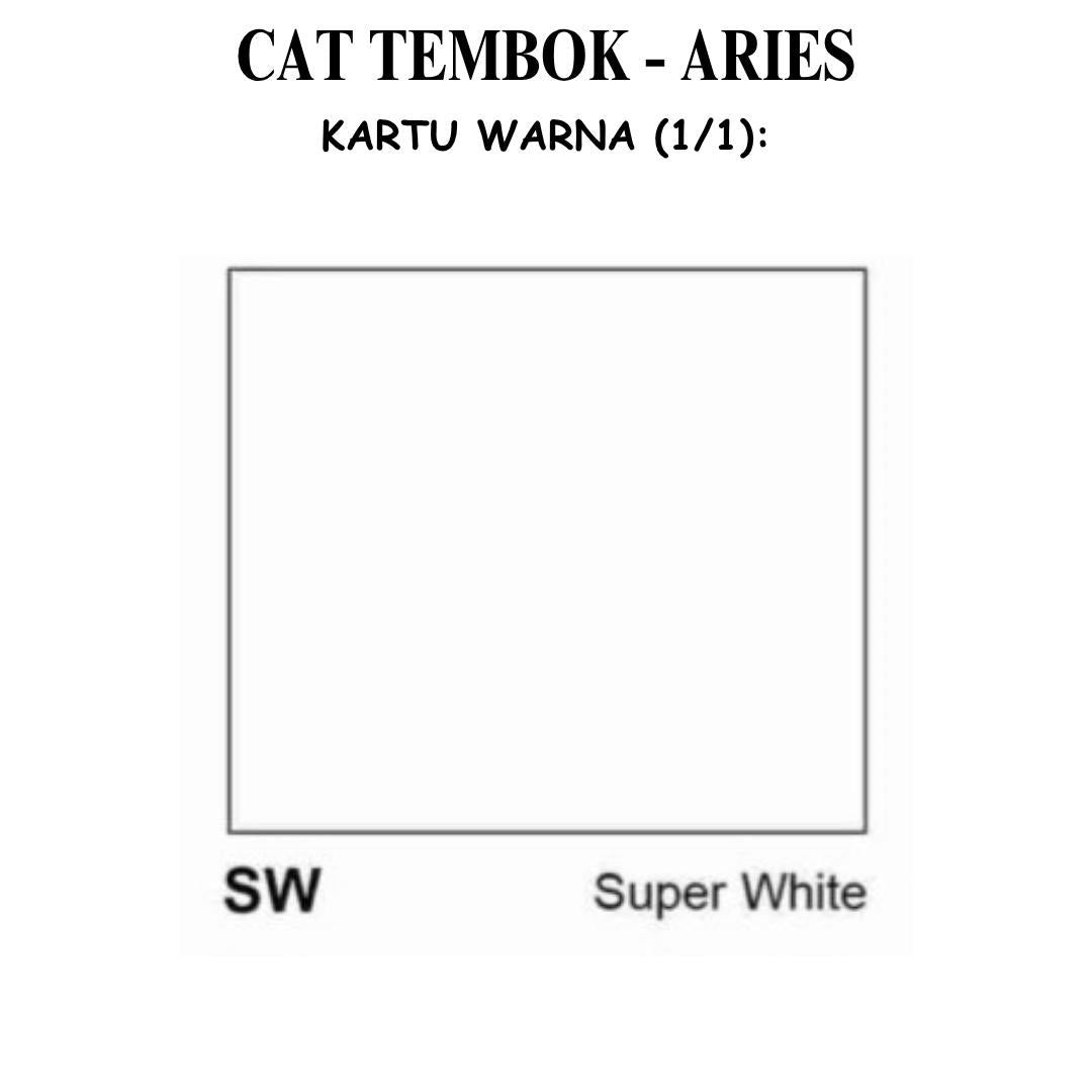 20 KG / ARIES Cat Tembok Beton Plafon Wall Paint Galon