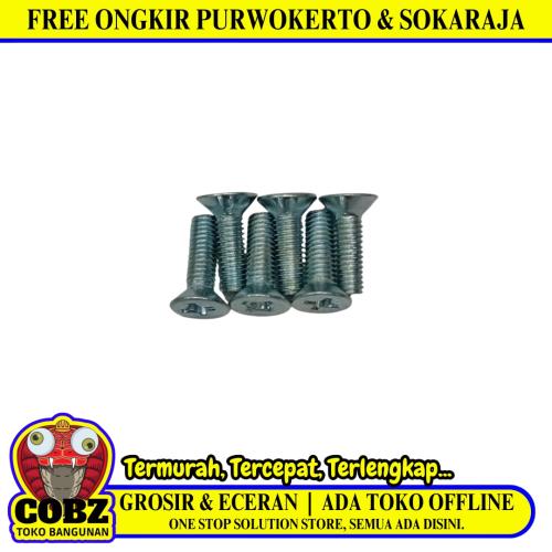 M 3 x 10 MM / TM Baut JF Kepala Rata Plus Putih Biji