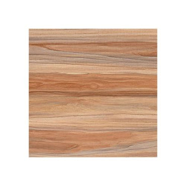 50 CM x 50 CM / PARIS ANGSANA Keramik Lantai Teras Garasi Matte Brown Dus