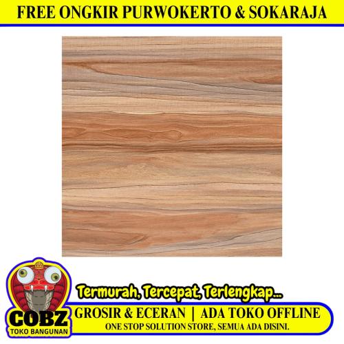 50 CM x 50 CM / PARIS ANGSANA Keramik Lantai Teras Garasi Matte Brown Dus