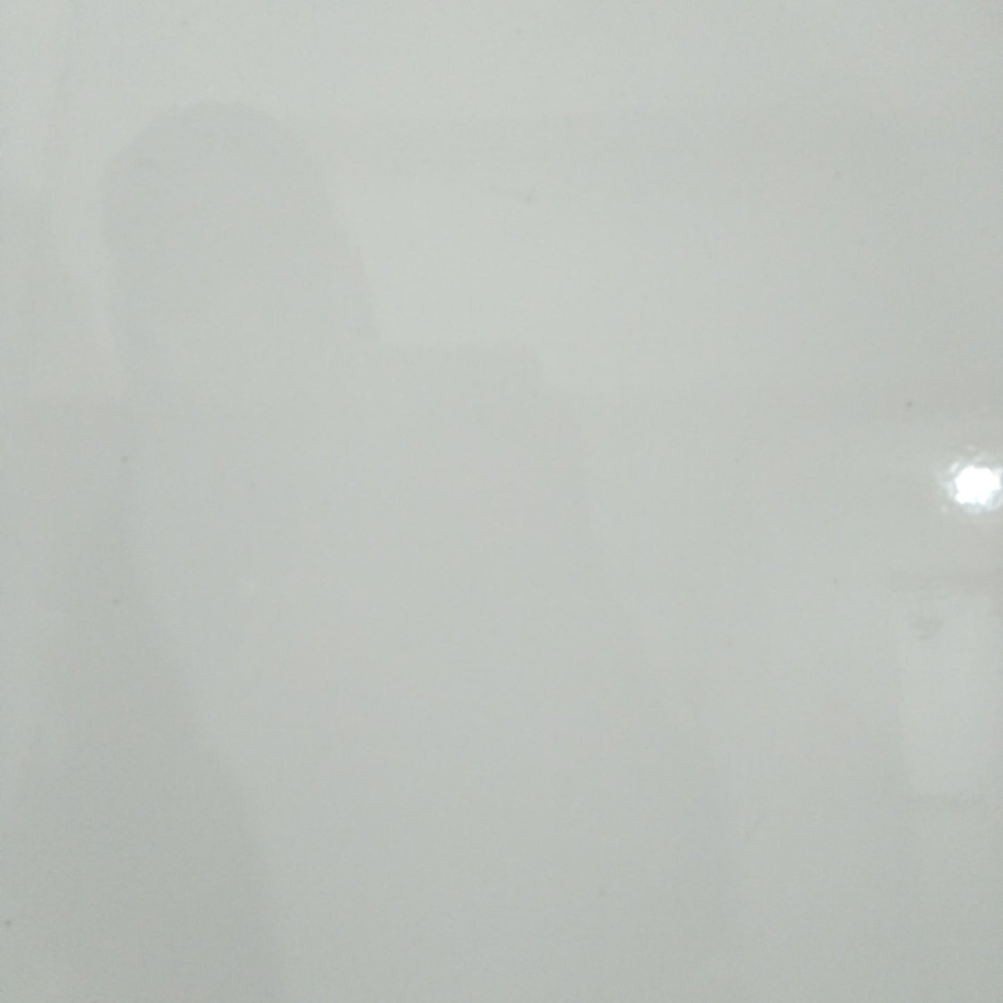 25 CM x 40 CM / UNO 25463 Keramik Dinding Kamar Mandi Glossy White Dus