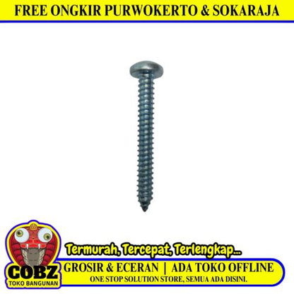 #14 x 2 IN / TM Sekrup PH Kepala Pentol Bulat Plus Silver Biji