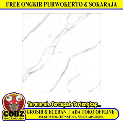 60 CM x 60 CM / PLATINUM SEBASTIAN Keramik Lantai Rumah Glossy Grey Dus