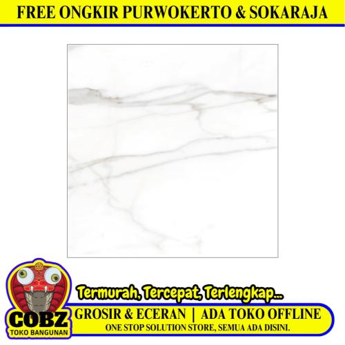 60 CM x 60 CM / PLATINUM SAVOY Keramik Lantai Rumah Glossy Grey Dus