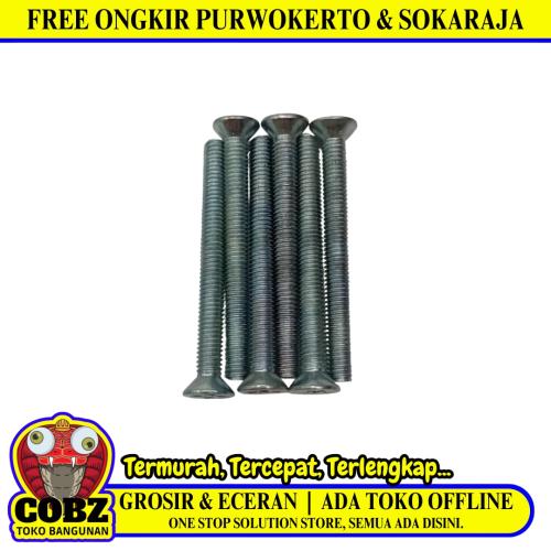 M 3 x 30 MM / TM Baut JF Kepala Rata Plus Putih Biji