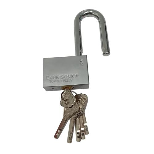 60 MM / BAORISONIC Gembok Pintu Pagar Padlock Anti Maling Leher Panjang