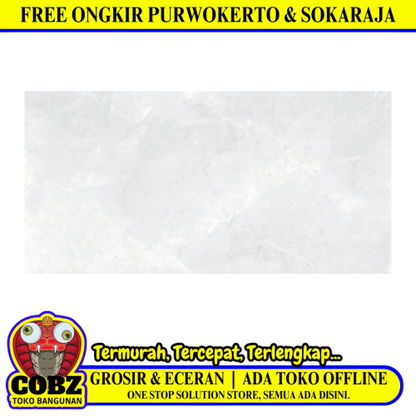 30 CM x 60 CM / PLATINUM DEXA Keramik Dinding Kamar Mandi Glossy Grey Basic Dus