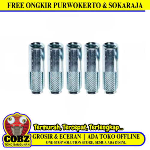 M 8 / TM Dynaset Mur Tanam Beton 5/16 IN Biji